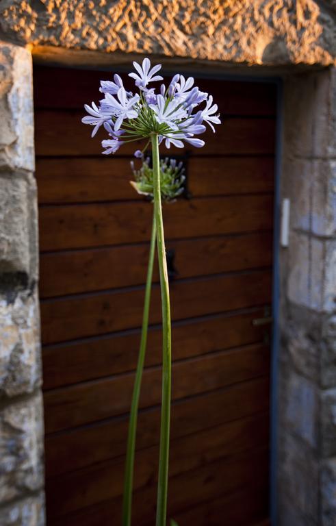 The Nest - A Romantic Vacation Home In Ein Kerem - القدس الغرفة الصورة