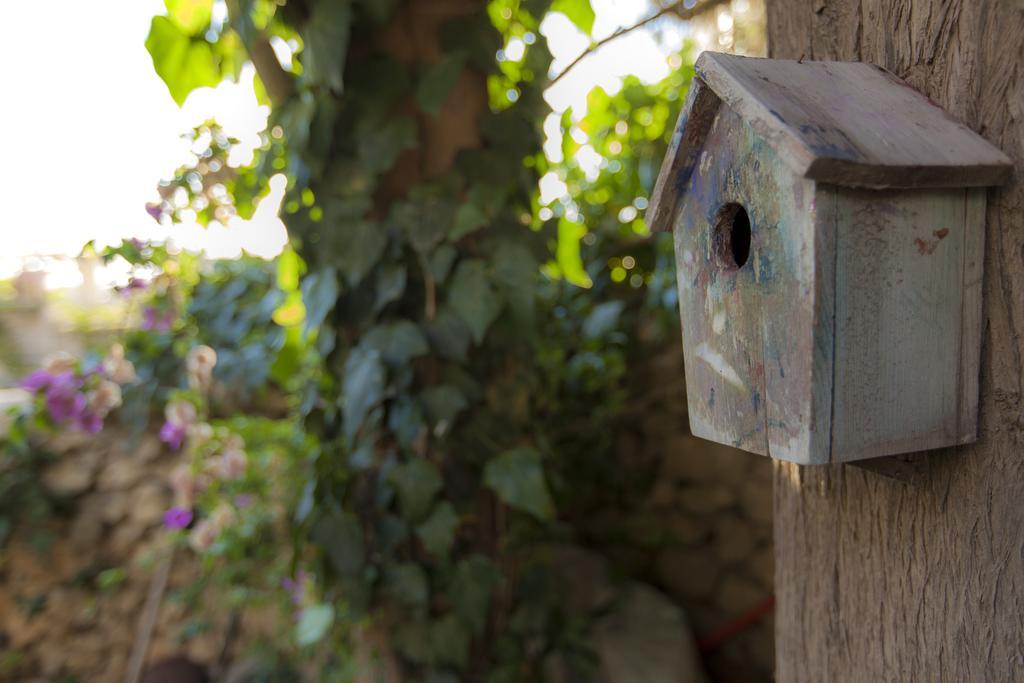 The Nest - A Romantic Vacation Home In Ein Kerem - القدس الغرفة الصورة