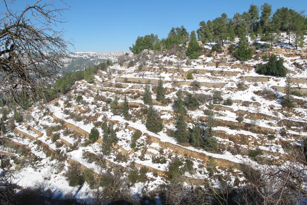 The Nest - A Romantic Vacation Home In Ein Kerem - القدس المظهر الخارجي الصورة