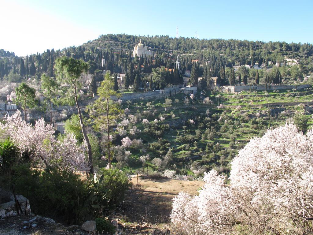 The Nest - A Romantic Vacation Home In Ein Kerem - القدس المظهر الخارجي الصورة