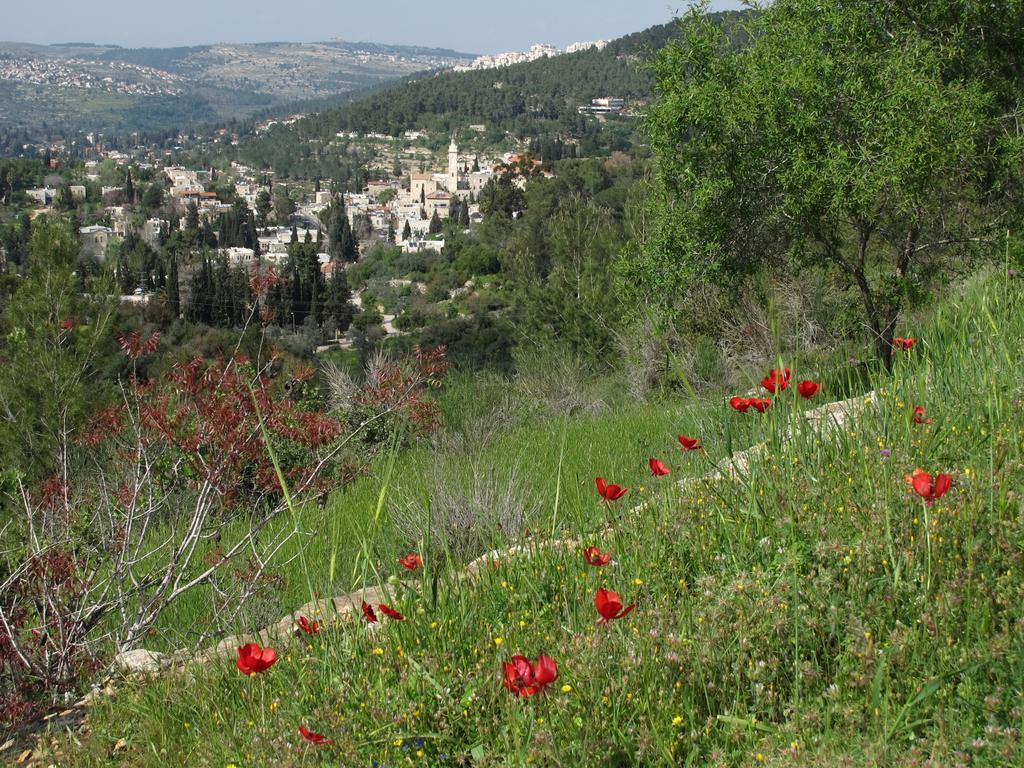 The Nest - A Romantic Vacation Home In Ein Kerem - القدس المظهر الخارجي الصورة