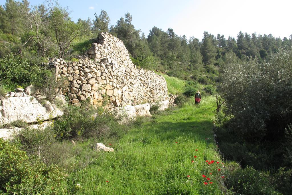 The Nest - A Romantic Vacation Home In Ein Kerem - القدس المظهر الخارجي الصورة